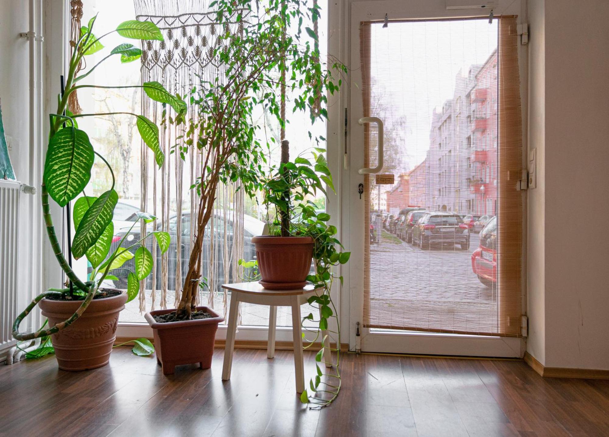 Boutique Altbau Apartment Берлин Екстериор снимка